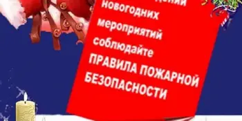 Правила безопасности при подготовки и проведении Новогодних и Рождественских праздников