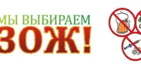 Мы выбираем ЗОЖ