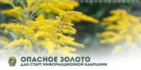 Опасное золото